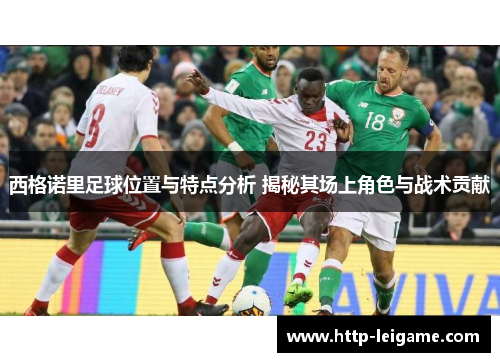 西格诺里足球位置与特点分析 揭秘其场上角色与战术贡献