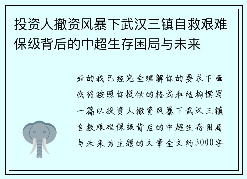 投资人撤资风暴下武汉三镇自救艰难保级背后的中超生存困局与未来